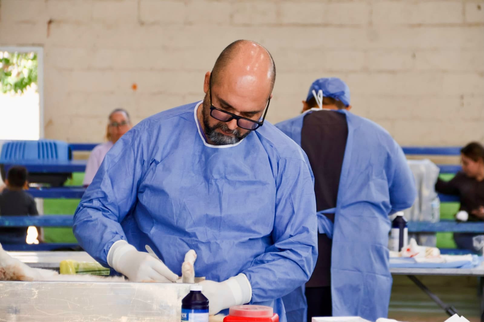 Rosales realiza campaña de esterilización gratuita con más de 90 procedimientos